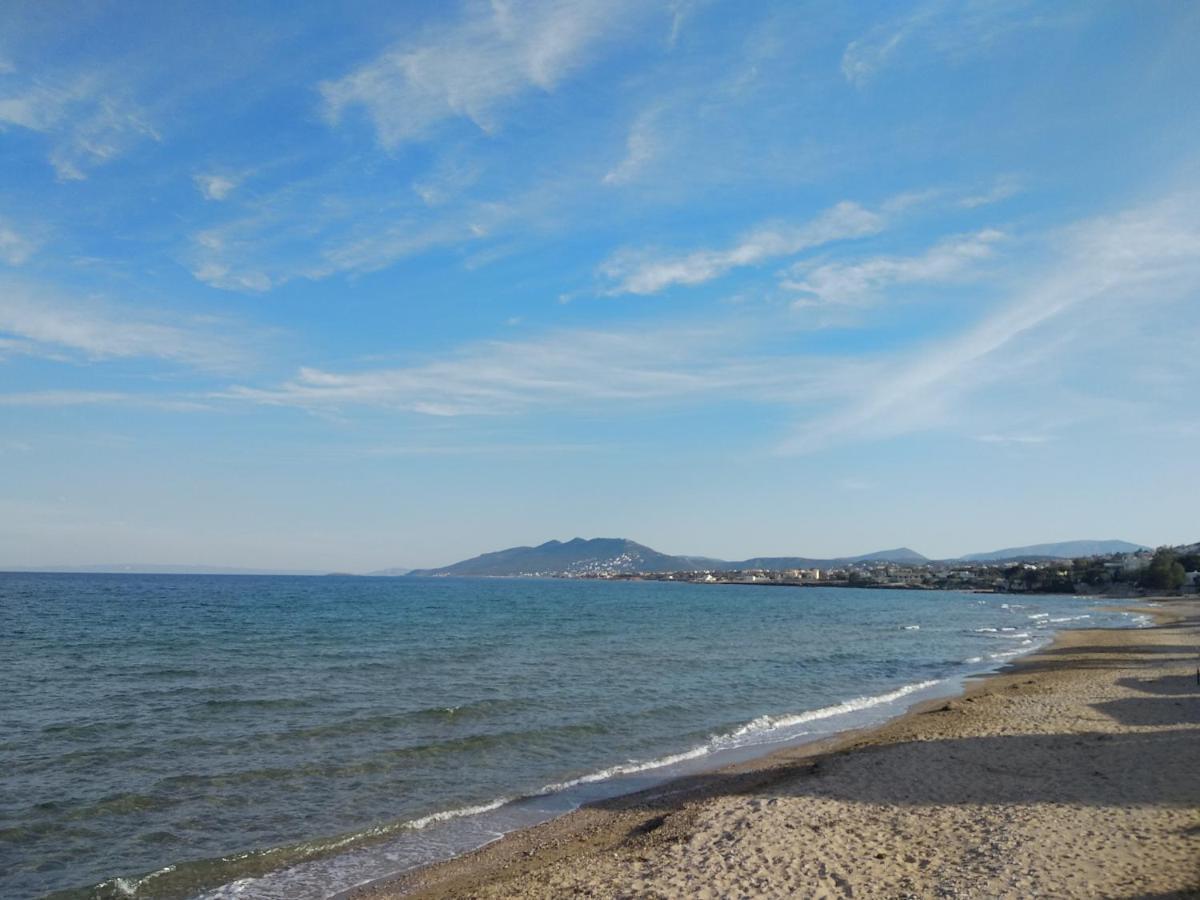 La Vita Apartments-Near Airport & Sea Артеміда Екстер'єр фото