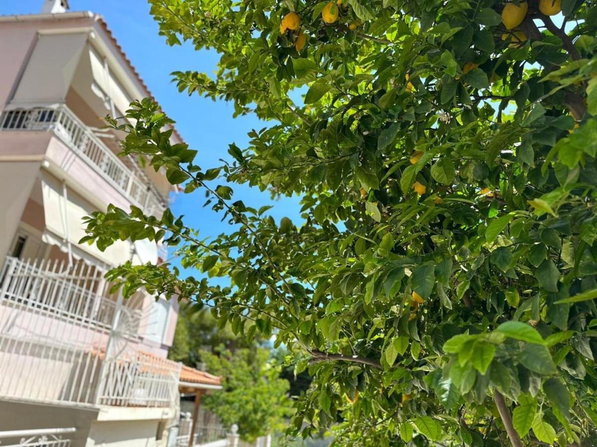La Vita Apartments-Near Airport & Sea Артеміда Екстер'єр фото